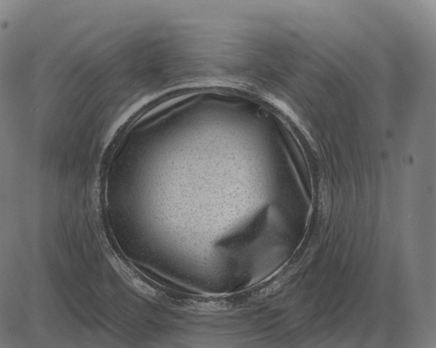 X0000082681460200702091620