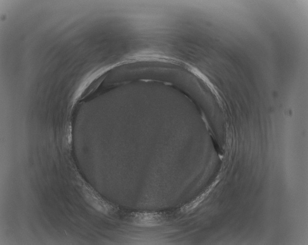 X0000082681461200702091620