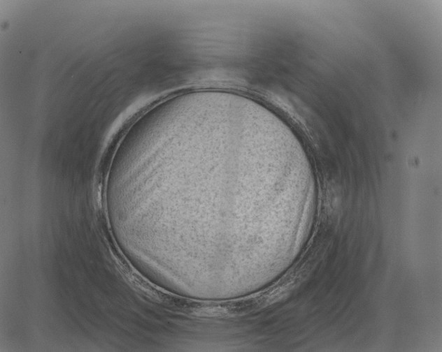 X0000082681462200702091620