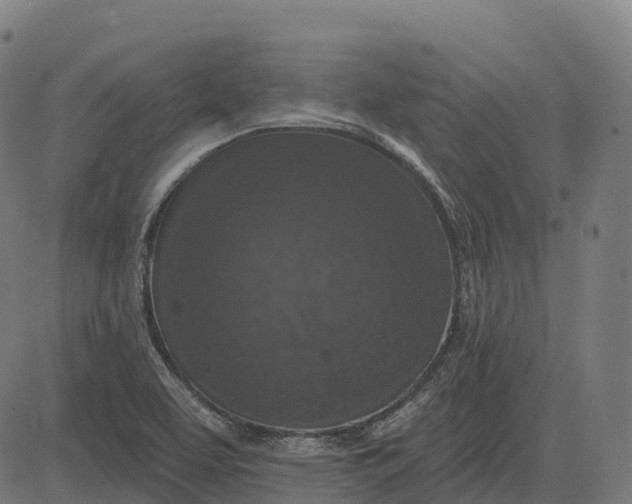 X0000082681463200702091620