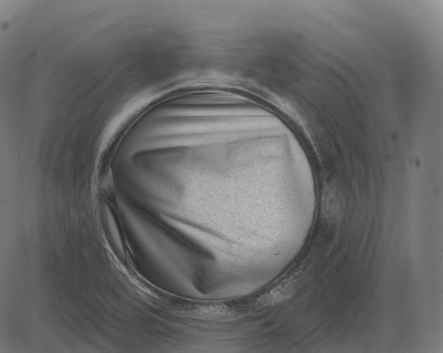 X0000082681464200702091620