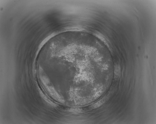 X0000082681466200702091620