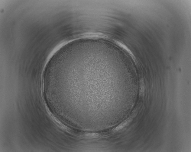 X0000082681467200702091620