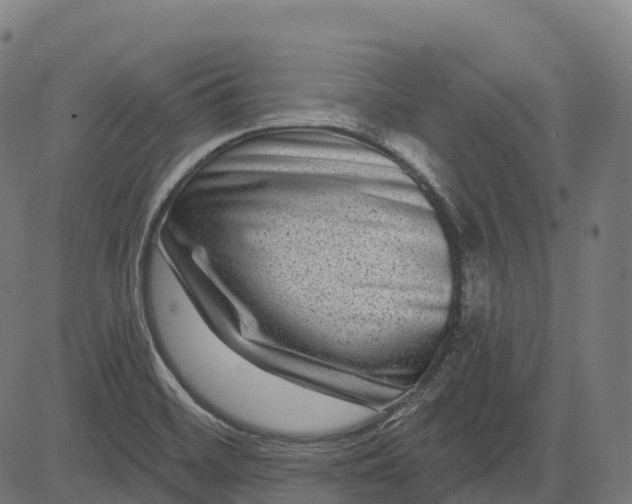 X0000082681468200702091620