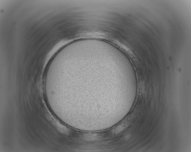 X0000082681470200702091620