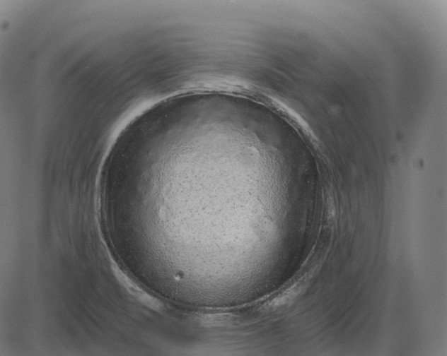 X0000082681471200702091620