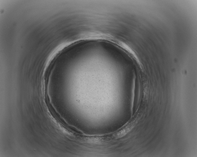 X0000082681472200702091620