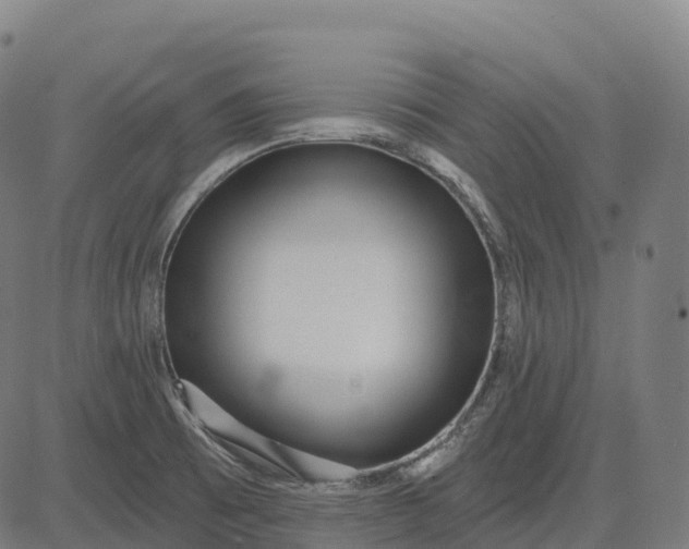 X0000082681473200702091620