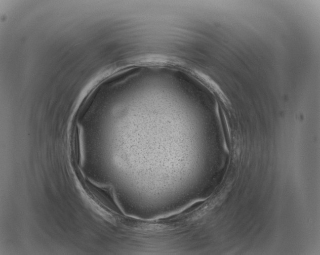 X0000082681475200702091620