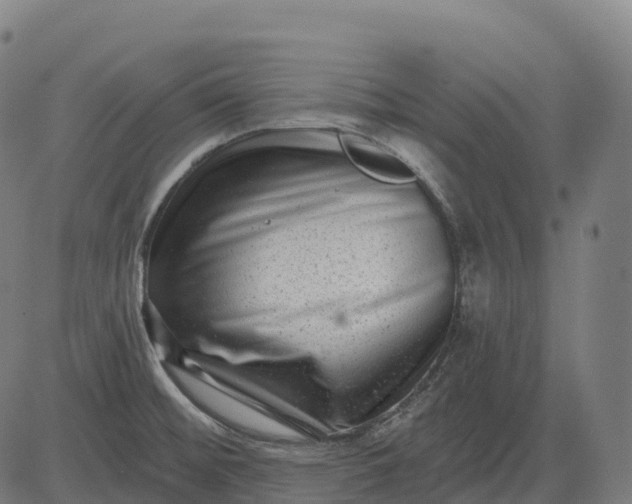 X0000082681476200702091620