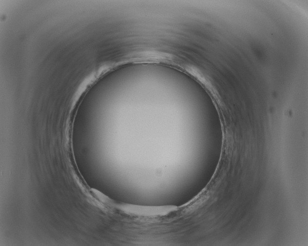 X0000082681477200702091620