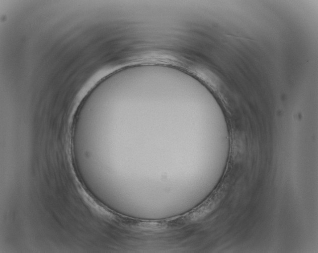 X0000082681478200702091620