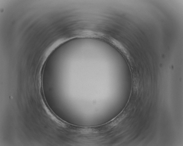 X0000082681479200702091620