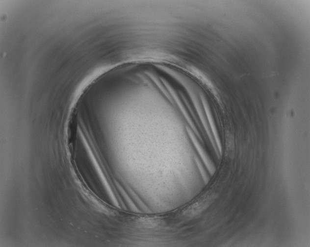 X0000082681480200702091620