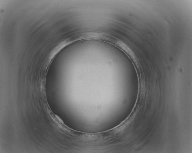 X0000082681481200702091620