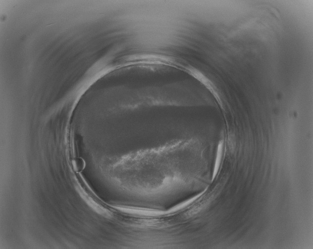 X0000082681482200702091620