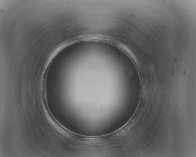 X0000082681483200702091620