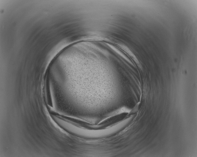 X0000082681484200702091620