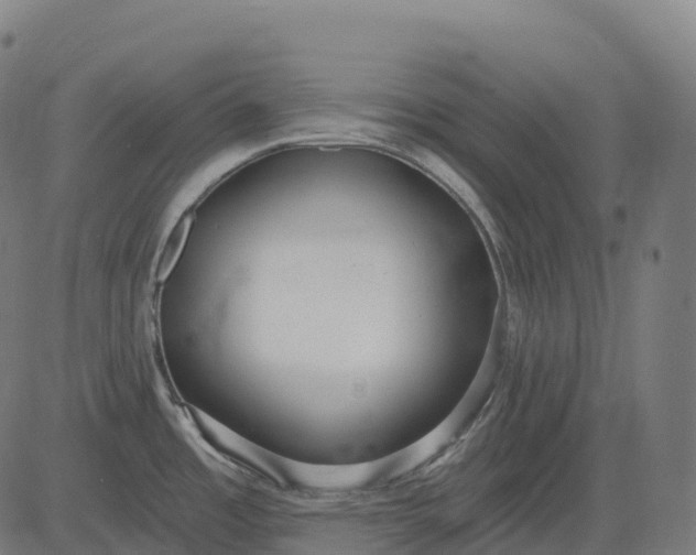 X0000082681485200702091620