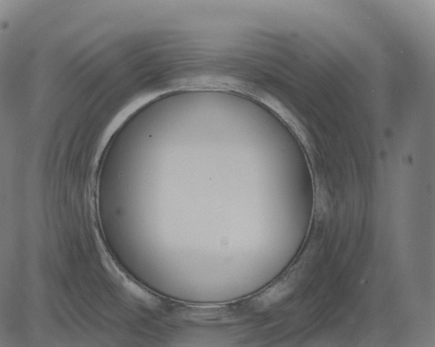 X0000082681486200702091620