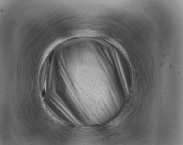 X0000082681488200702091620