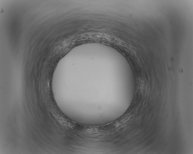 X0000082681489200702091619