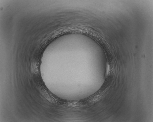 X0000082681490200702091619