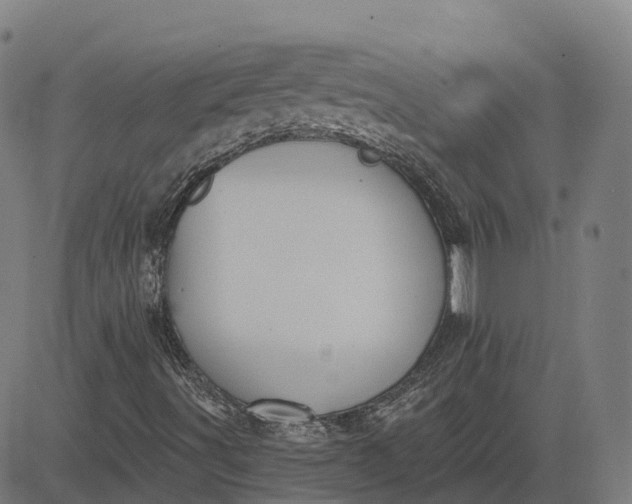 X0000082681491200702091619