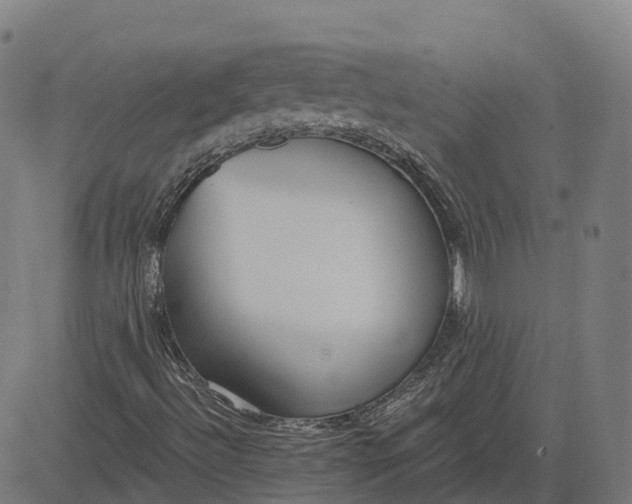 X0000082681492200702091619