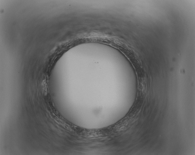 X0000082681493200702091619