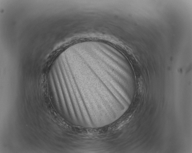 X0000082681494200702091619