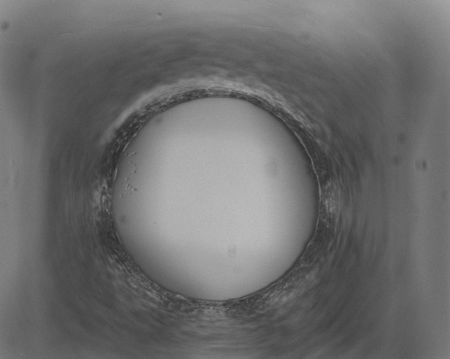 X0000082681495200702091619