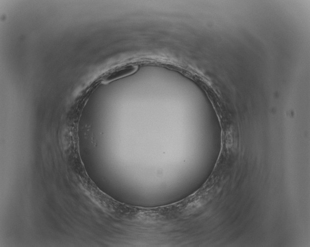 X0000082681496200702091619