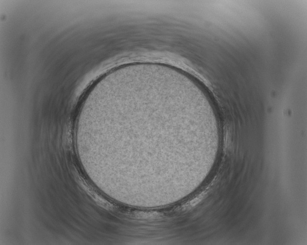 X0000082681498200702091619