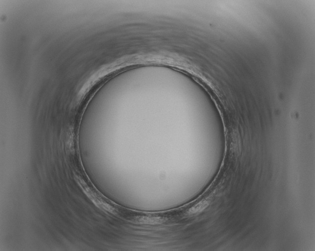 X0000082681499200702091619