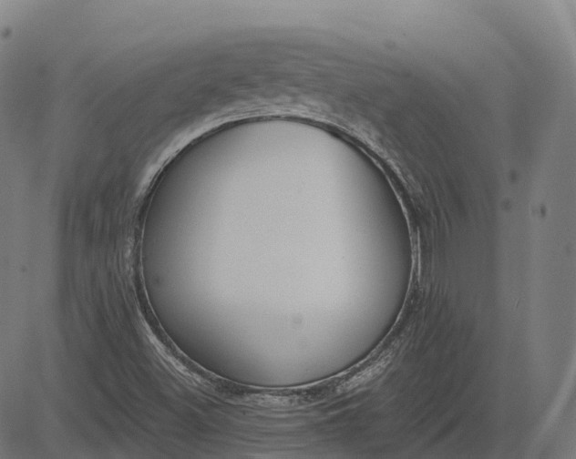 X0000082681500200702091619