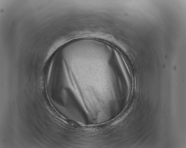 X0000082681501200702091619