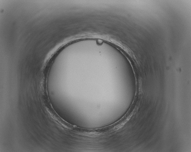 X0000082681502200702091619