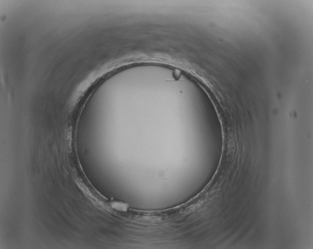 X0000082681503200702091619