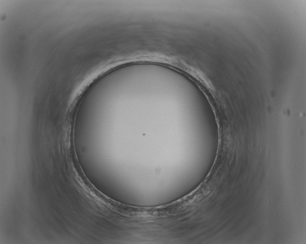 X0000082681504200702091619