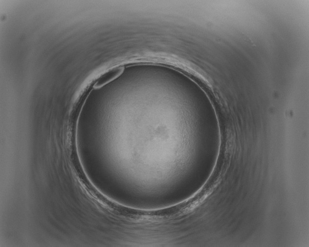 X0000082681506200702091619