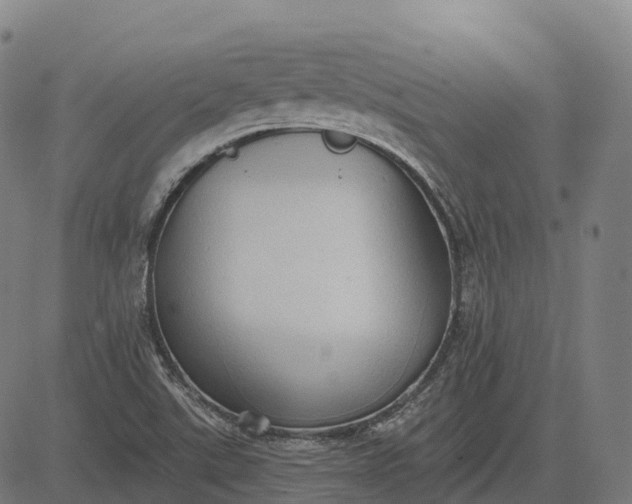 X0000082681507200702091619