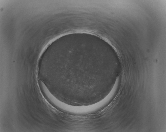 X0000082681508200702091619