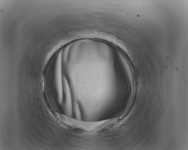 X0000082681509200702091619