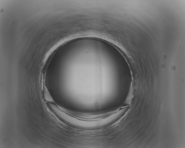 X0000082681510200702091619