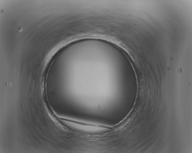 X0000082681511200702091619