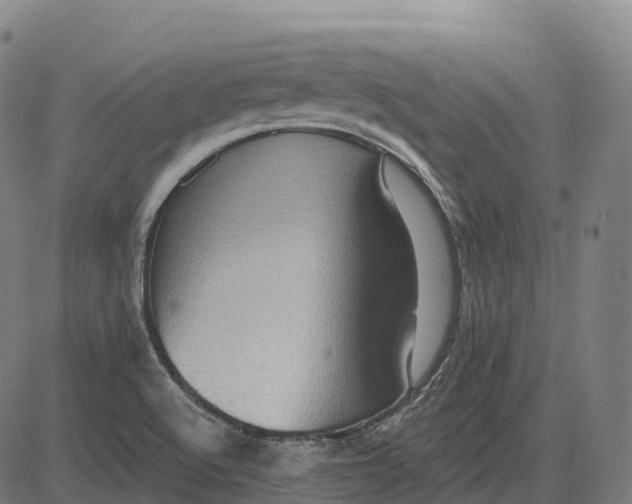 X0000082681512200702091619