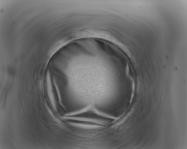 X0000082681513200702091619