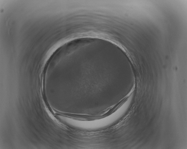 X0000082681515200702091619