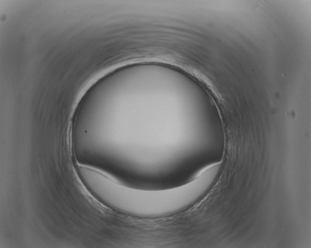 X0000082681516200702091619